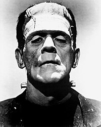 200px-Frankenstein%27s_monster_%28Boris_Karloff%29.jpg