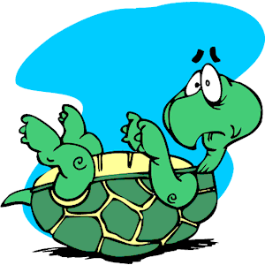 Turtle__Upside_Down.png