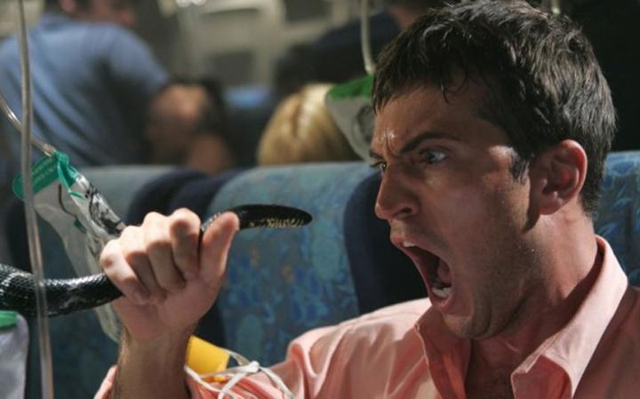 snakes-on-a-plane_2186113a-large.jpg