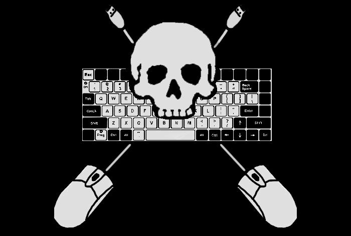 Internet_Pirate_Flag_1.jpg