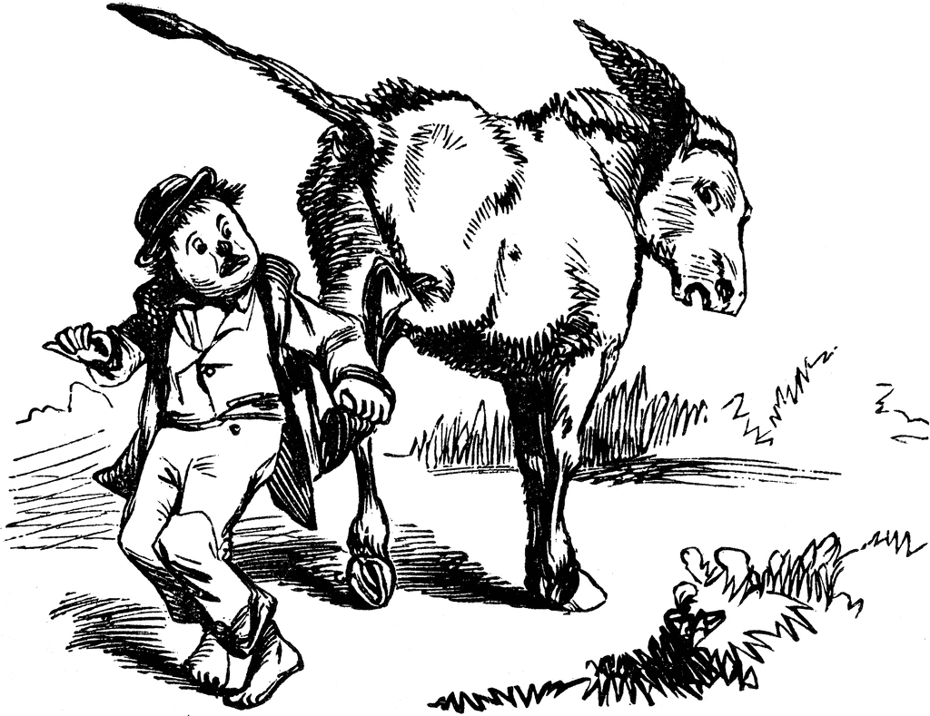 63593_donkeykid_lg.gif