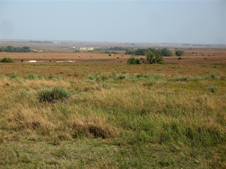 195.jpg