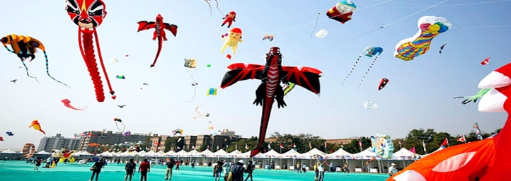 International-Kite-Festival-Gujarat.jpg