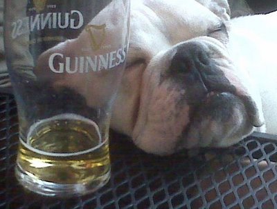 bulldog-with-beer.jpg