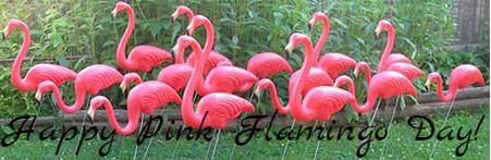 pink-flamingo-day-flamingos.jpg