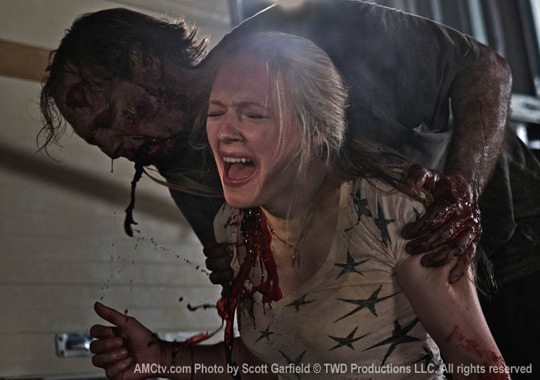 the-walking-dead-amy.jpg