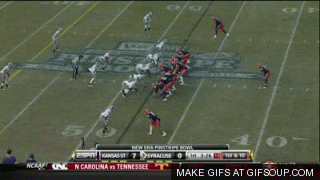 flea-flicker-o_medium.gif