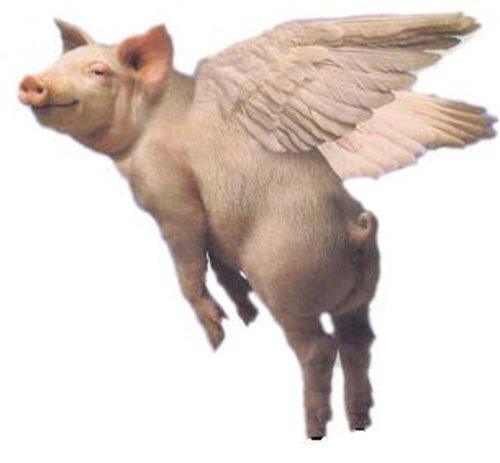 pigs_fly.jpg