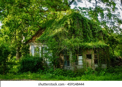 overgrown-house-facade-countryside-260nw-459148444.jpg