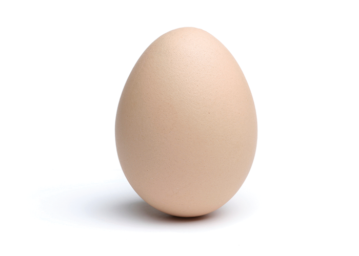 bird_egg.png