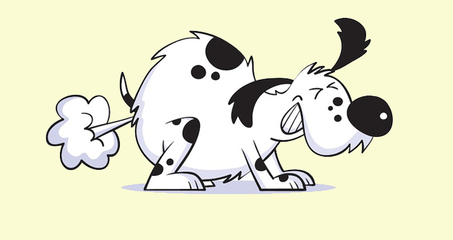 canine-flatulence-x.jpg