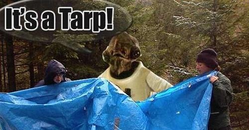 660758d72274dbcc61d86c3573d159b9--admiral-ackbar-laughing.jpg