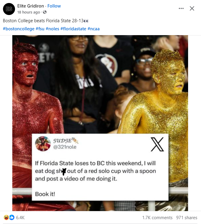 noles-fan.png