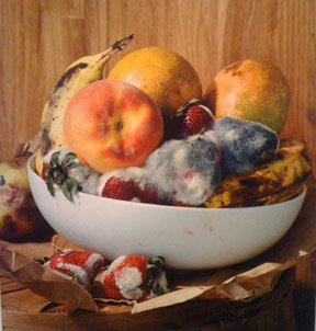 Rotting-fruit-bowl.jpg