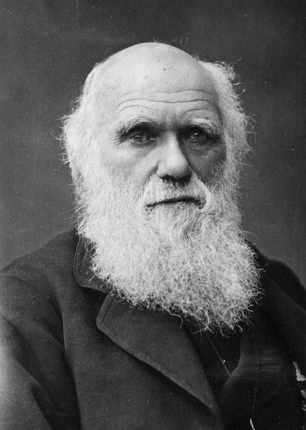 darwin.jpg