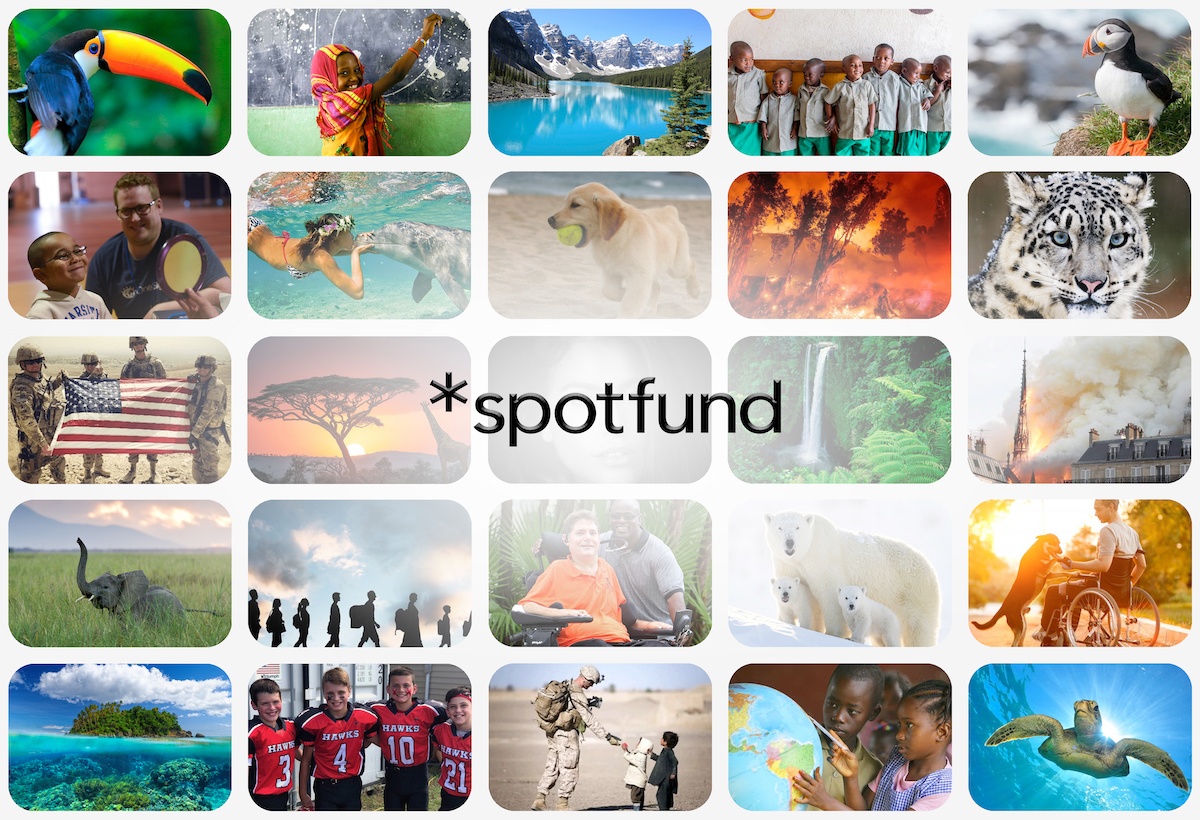 www.spotfund.com