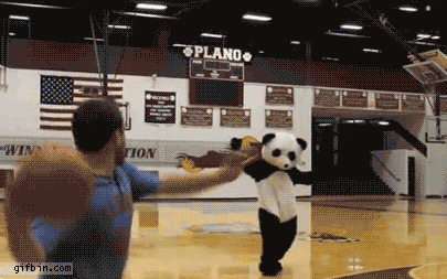 1326737497_panda_basketball_head_shot.gif