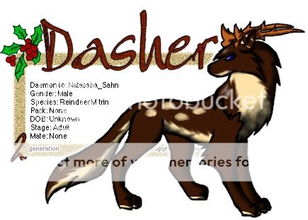 Dasher.jpg