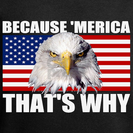 because_merica_thats_why_us_flag_american_eagle_sw.jpg