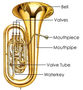 FA-BANNER-TUBA.jpg