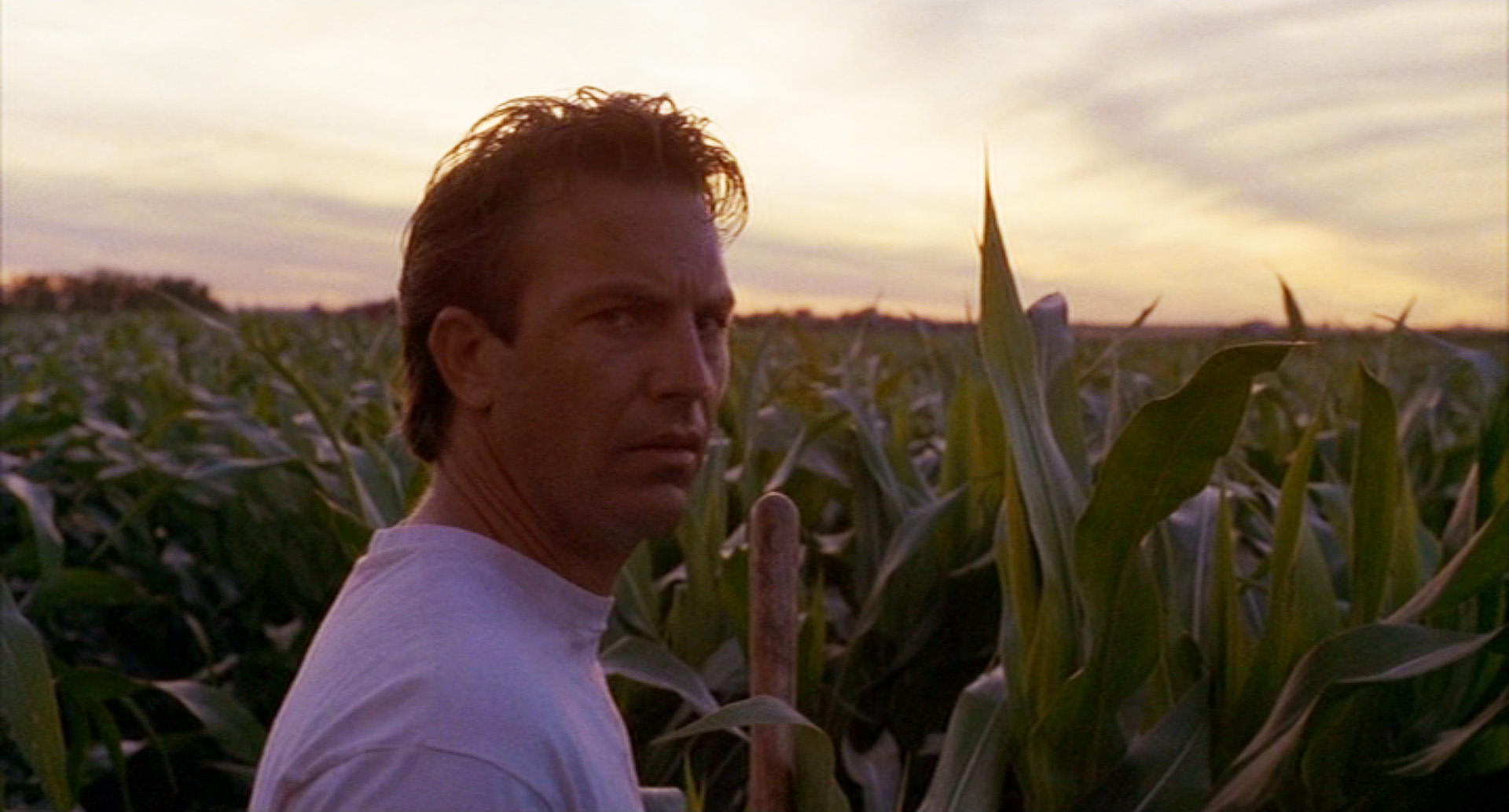 field-of-dreams.jpg