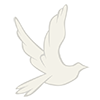 www.dlcalarco.com
