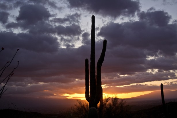 tucson-sunrise-1366419493rgQ.jpg