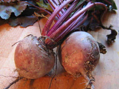 beets.jpg