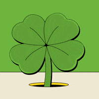St Patricks Day Flower GIF by Curtains Cool