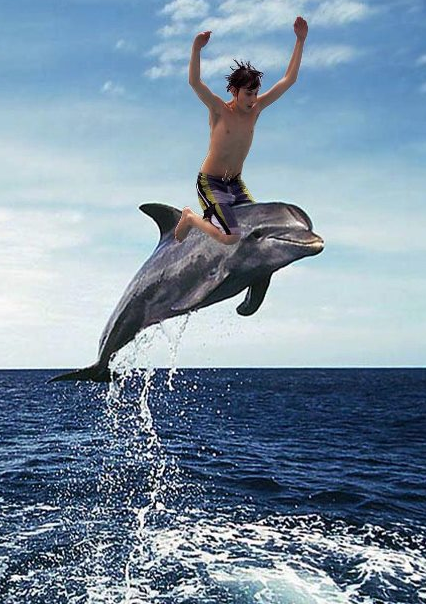 photo_dolphin-riding.png