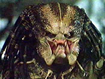 2009-04-23-predator.jpg