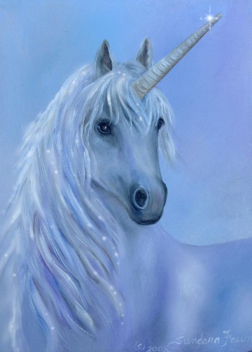 Healing-Unicorn-unicorns-6313191-501-700.jpg