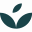 www.ivywise.com