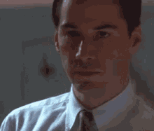tenor.gif