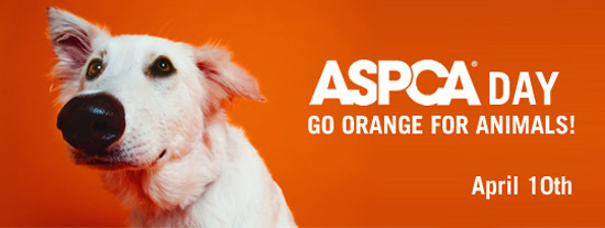 aspcaday.jpg