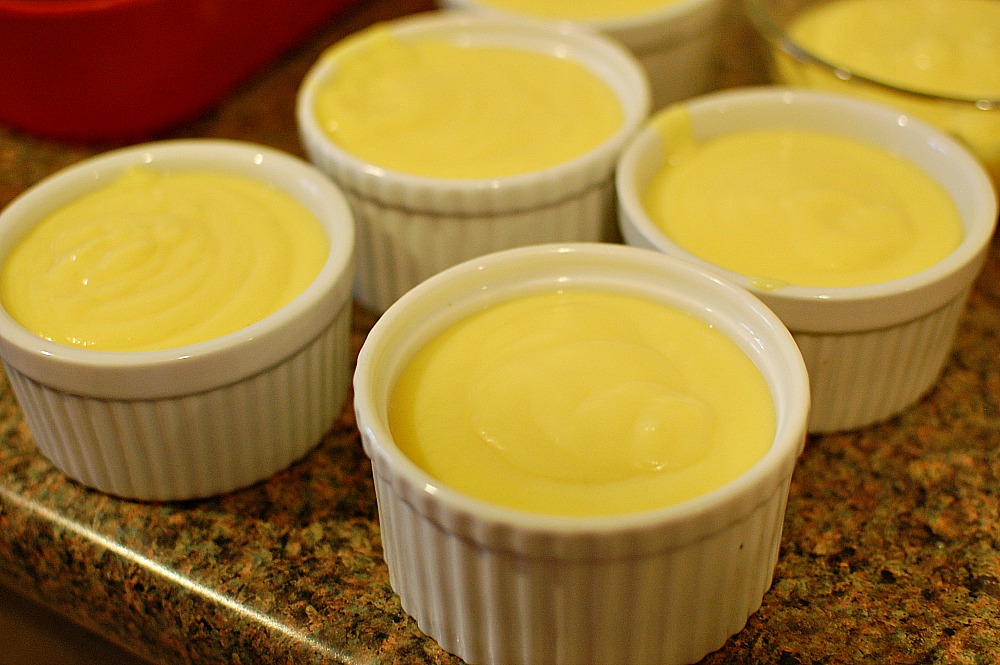 Vanilla+Custard.jpg