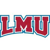 lmulions.com