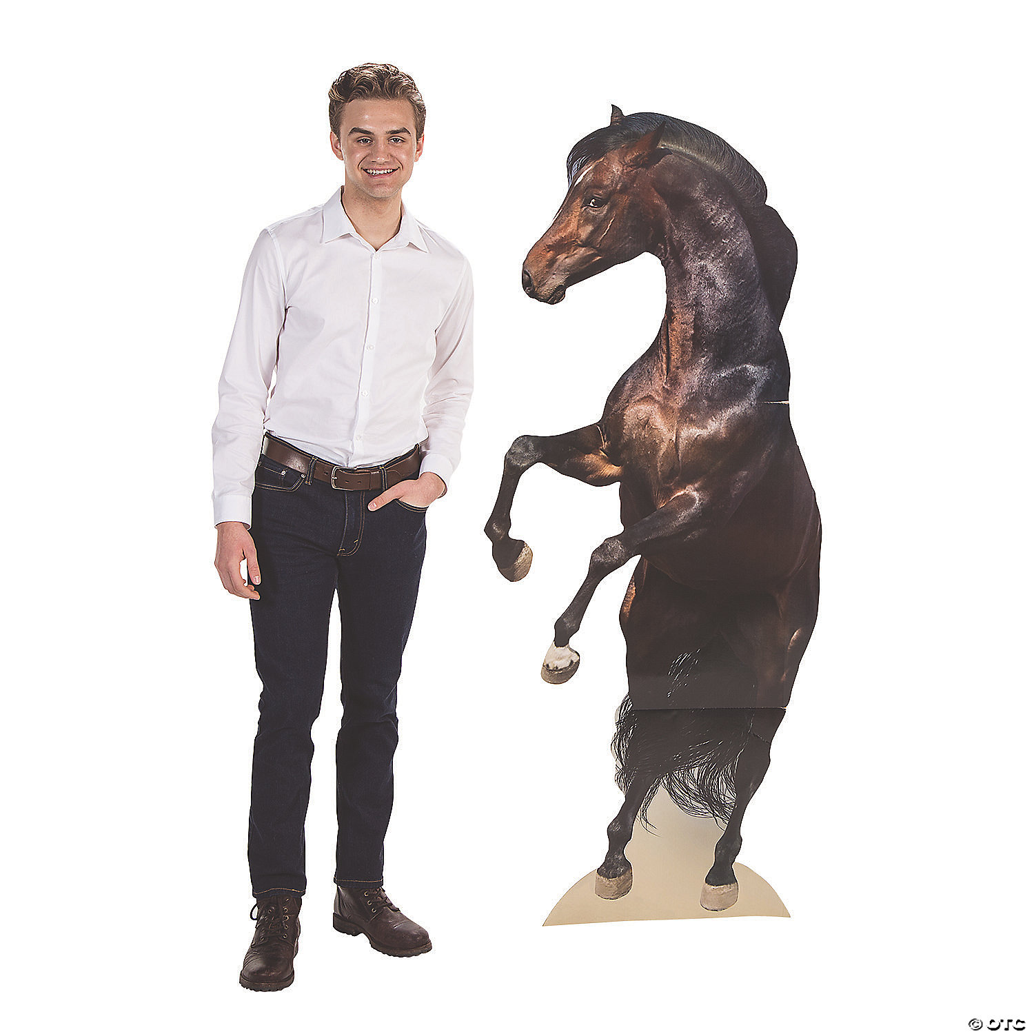 horse-lifesize-cardboard-stand-up~13944154