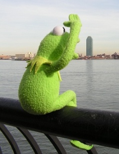 kermit6.jpg