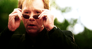 Horatio-csi-miami-31981664-300-162.gif