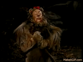 Mo5DvI.gif