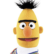 25_bert_190x190.jpg