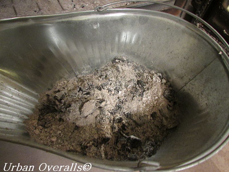 ash-in-ash-bucket-cr.jpg