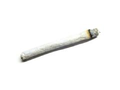 joint.jpg