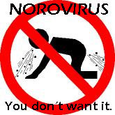 norovirus-21.jpeg