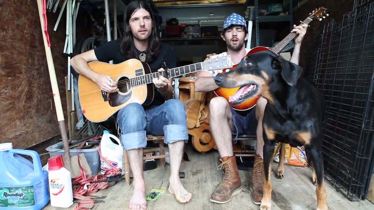 www.youtube.com