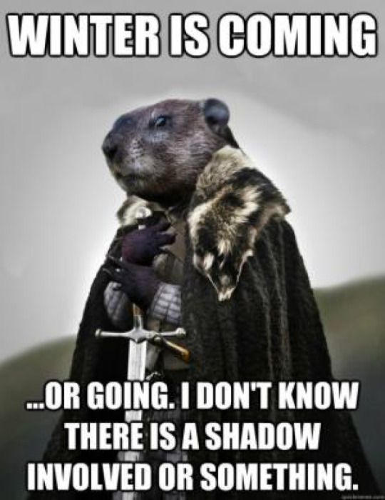 14c64abdb29a6ec49e6b856020cadc2c--happy-groundhog-day-winter-is-coming.jpg