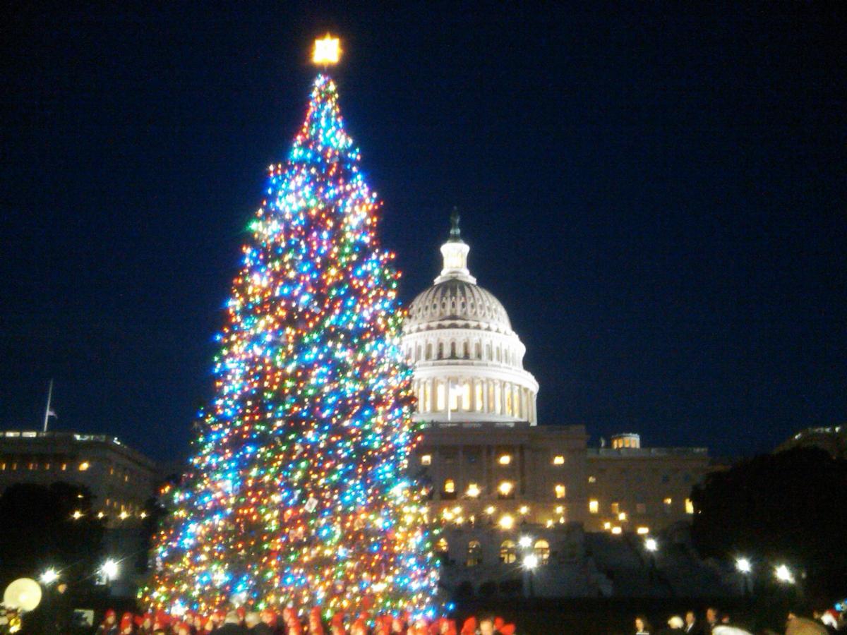 Christmas-Tree-History-4.jpg