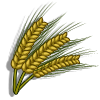 Barley-icon.png