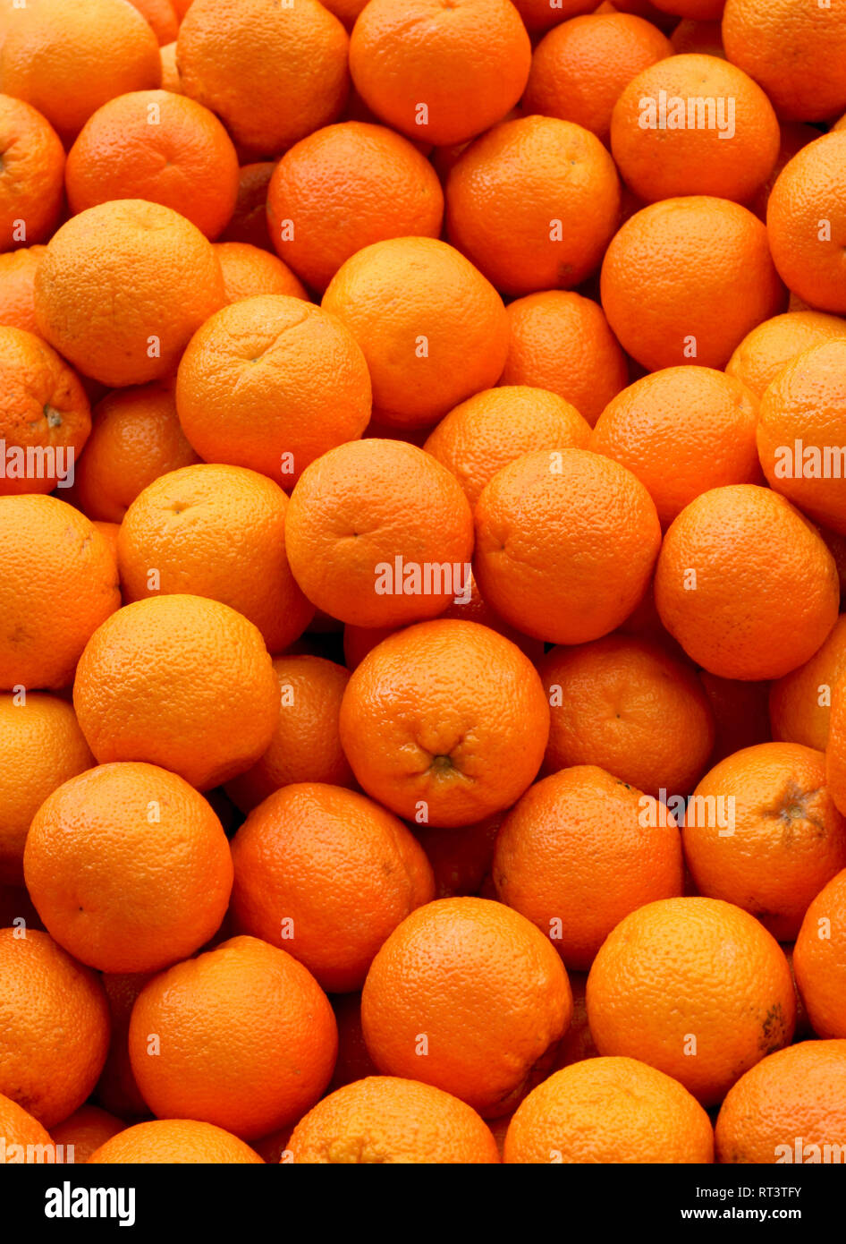 bunch-of-fresh-and-big-oranges-fruit-RT3TFY.jpg